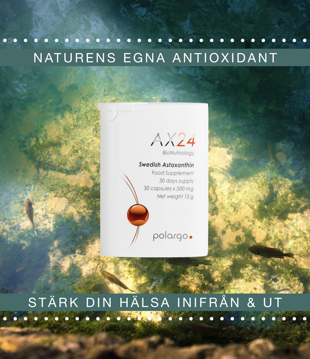 DEN ULTIMATA ANTIOXIDANTEN FÖR DIN MAXIMALA VITALITET