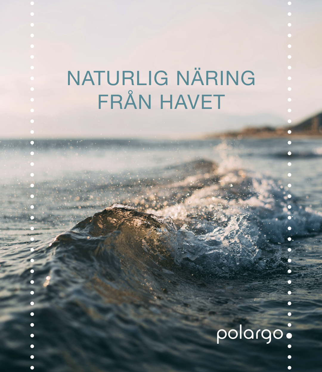 HAVETS KRAFT - FRAMTIDENS NÄRING